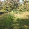 Kithimu 1½ Acres thumb 1