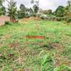 0.05 ha Residential Land at Ondiri thumb 1