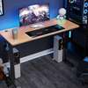 Office Desk : Height Adjustable Electrical Hackers Desk thumb 0