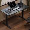 OFFICE DESK: White Electrical Standing Desk thumb 4