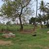 20 ac Land in Kikambala thumb 7