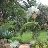 4 Bed House with Garden in Gigiri thumb 2