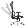 Office Chair: Orthopedic Seat with Lumbar Support thumb 1
