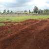 0.5 ac residential land for sale in Runda thumb 3