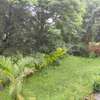 4 Bed House with Garden at Kyuna thumb 6