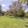 3.6 ac Residential Land in Spring Valley thumb 13
