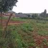 Prime 70 by 100 ft plot for lease in Gikambura Kikuyu thumb 0