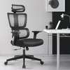 Office Chair: Ergonomic 3d Backrest High Back Office Chair thumb 0