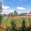 0.05 ha Residential Land at Gikambura thumb 12