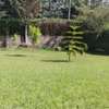 4 Bed House with Garden at Karen thumb 1