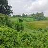 8 ac Land at Redhill thumb 2