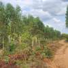 Gachuriri Prime land for sale thumb 4