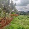 0.125 ac Residential Land at Migumoini thumb 17