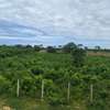 1 acre for sale in Diani thumb 2