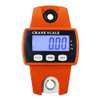 300kg X 100g Portable LCD Digital Stainless Steel Hook Mini Electronic Hook thumb 8