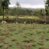 0.125 ac Commercial Land at Kayole thumb 5