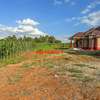 0.05 ha Residential Land at Lusigetti thumb 6