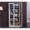 File Cabinet: Steel File Cabinet With Glass Door 5 Shelves thumb 0