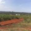 0.25 ac Land in Kiambu Road thumb 4