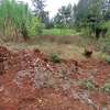 50x100ft plots for sale at Makuyu in Murang'a county thumb 1