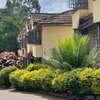 🏡 Elegant 4 Bedroom Villa To Let in Kileleshwa thumb 5