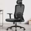 Ergonomic Office Desk Chair with Air Pneumatic thumb 0