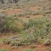 Land for Sale thumb 0