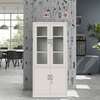 Steel & Glass Door Office Cabinet thumb 9