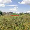 0.05 ha Residential Land in Gikambura thumb 17