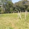 Prime Land in Kahara/Matasia thumb 3