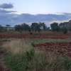 Residential Land at Adjacent To Muhasibu Estate thumb 7