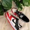 Nike SB low cut
37-45
 with extra laces thumb 4