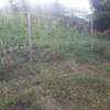 Lovely One Eighth Plot in Ngong thumb 3