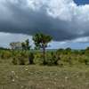 10 ac Land at Diani thumb 19