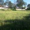 Lovely Half Acre Land in Ongata Rongai thumb 0