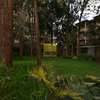 3 Bed Apartment with Swimming Pool in Ruaka thumb 14
