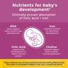 Nature Made Prenatal Vitamin Softgels + Choline Capsules thumb 1