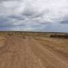 AN EXPANSIVE 4200 ACRES RANCH FOR SALE IN LAIKIPIA COUNTY thumb 2