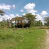 Land at Roysambu thumb 8