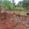 50x100ft plots for sale at Makuyu in Murang'a county thumb 0