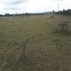 5 ac residential land for sale in Ongata Rongai thumb 6