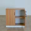 2 Door Wooden Executive Office Cabinet thumb 1