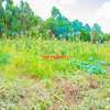 0.05 ha Residential Land at Gikambura thumb 8