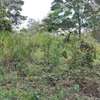 1618 m² land for sale in Kilimani thumb 7