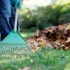 Reliable & Affordable Gardeners |High Quality Gardening & Landscaping.Contact us today thumb 8