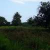 80,940 m² Commercial Land in Kwale County thumb 10