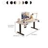 Office Desk: 160cm Electric Height Adjustable Desk thumb 1