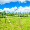 PRIME PLOTS FOR SALE IN A LUSINGETTI GATED COMMUNITY CONCEPT thumb 4