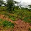 40 Acres Agricultural Land Is For Sale In Masinga Kithyoko thumb 0