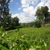 0.5 ac Residential Land in Thome thumb 3